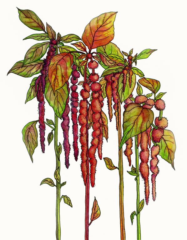 Love Lies Bleeding