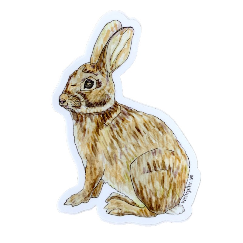 vinyl rabbit sticker watercolor illustration