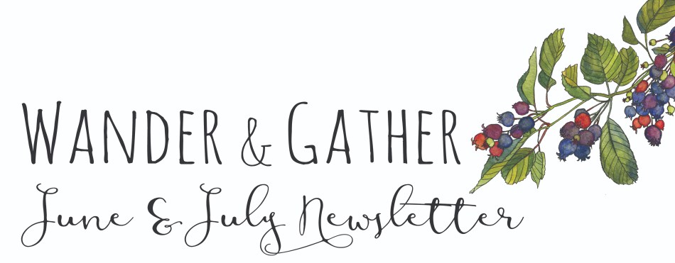 june july newsletter header-01